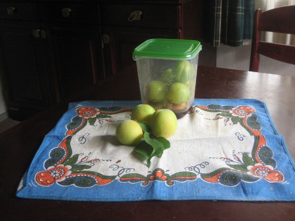 ume fruit
